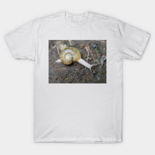 Haplotrema vancouverense snail T-Shirt